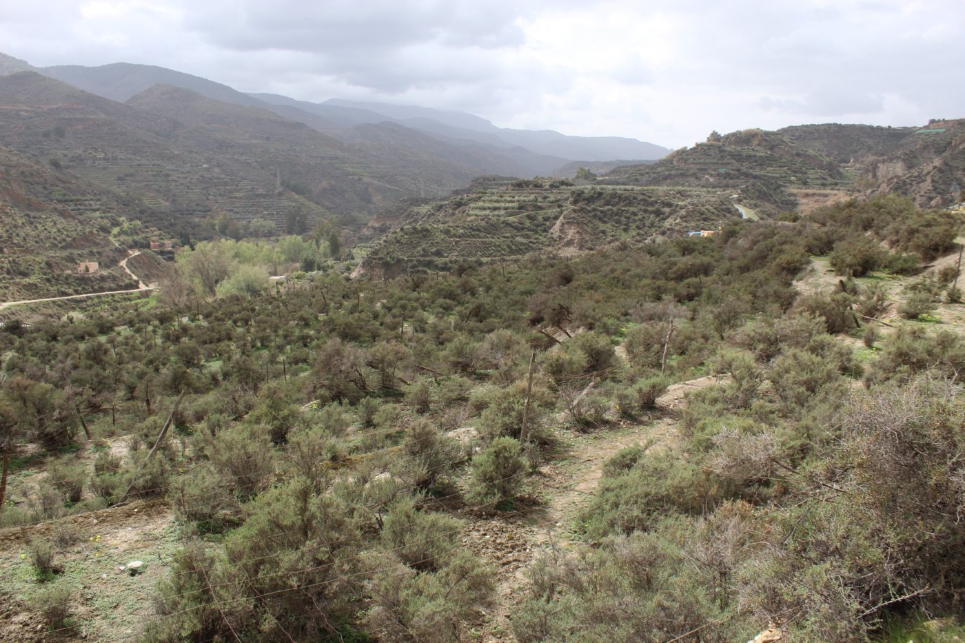 FINCA DE REGADIO EN CANJAYAR (ALMERIA)