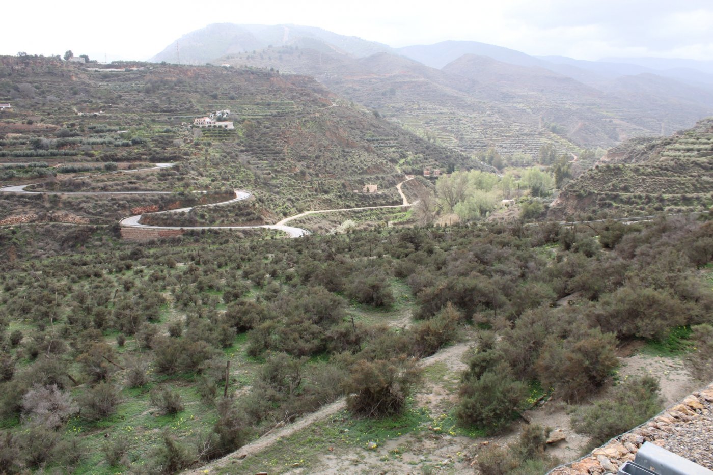 FINCA DE REGADIO EN CANJAYAR (ALMERIA)