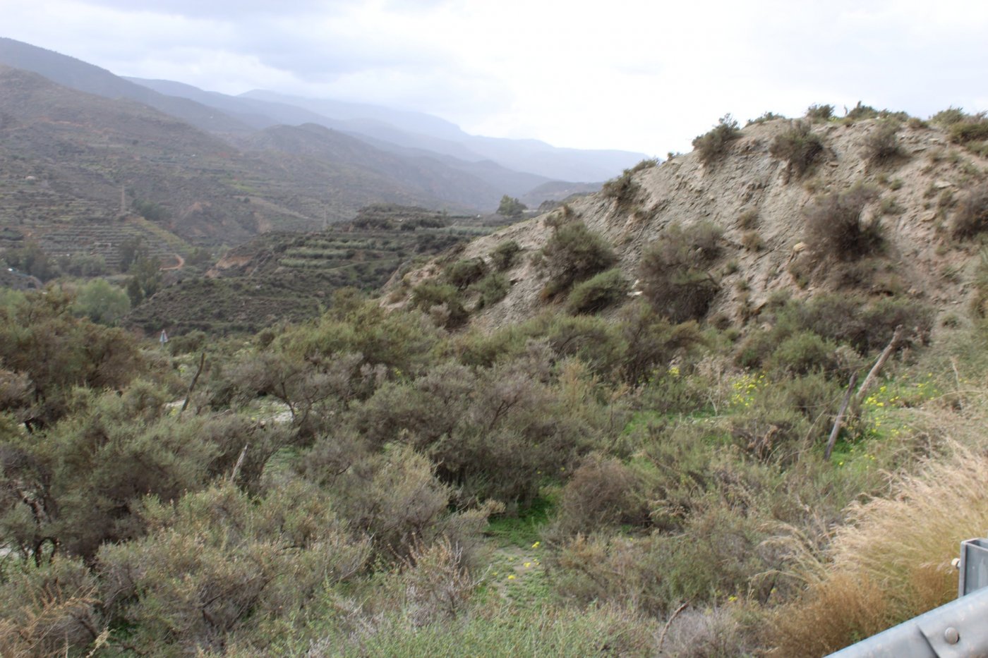 FINCA DE REGADIO EN CANJAYAR (ALMERIA)