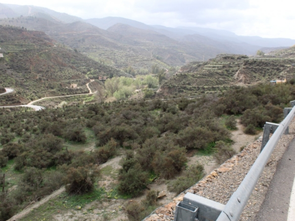 FINCA DE REGADIO EN CANJAYAR (ALMERIA)