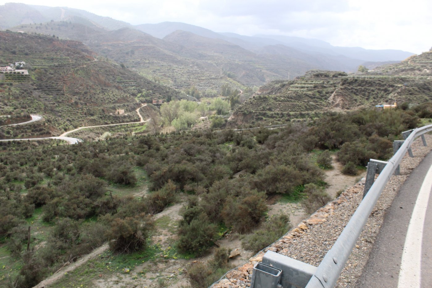 FINCA DE REGADIO EN CANJAYAR (ALMERIA)