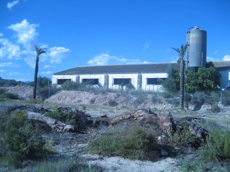 Solar Urbano de 5900 m2 con una nave- almacén de 843 m2 en su interior.