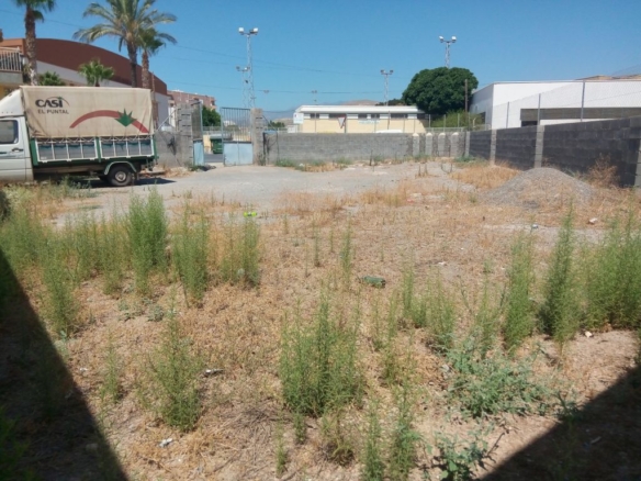 Gran solar urbano con acceso a 3 calles situado en el corazón de La Gangosa