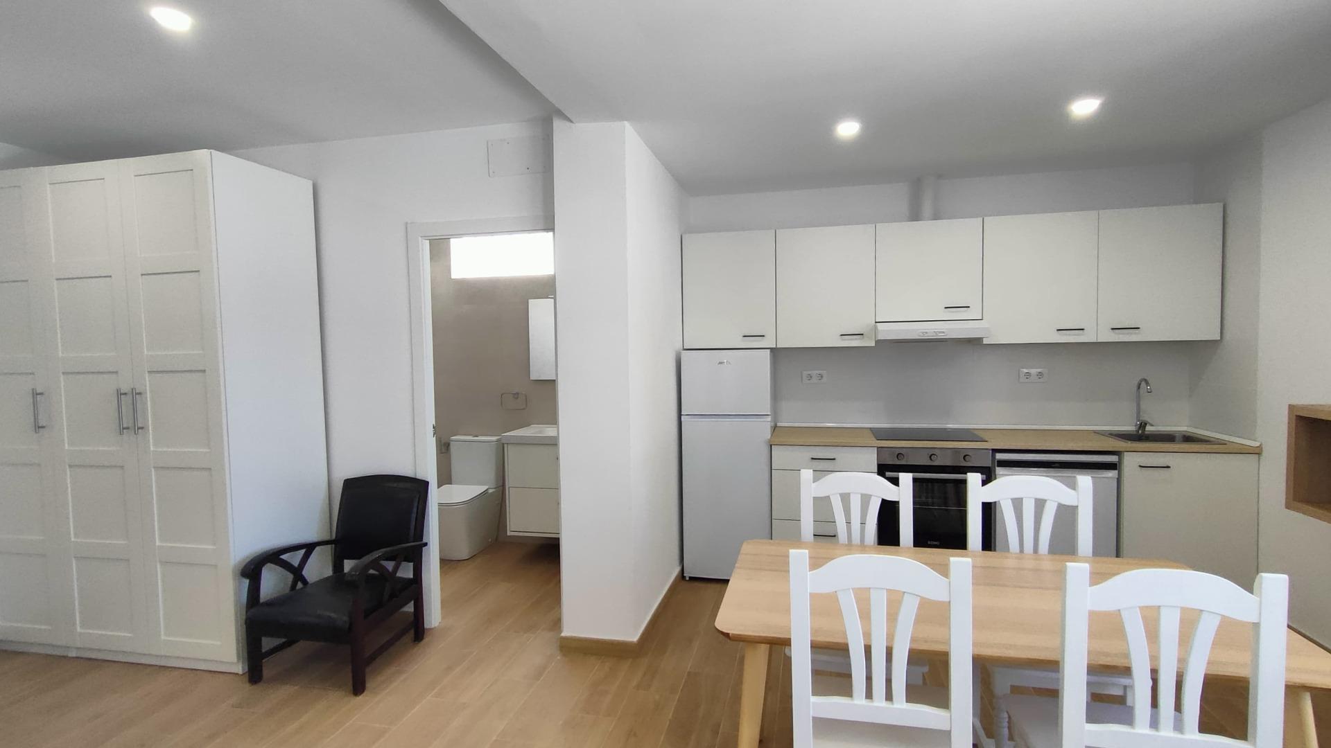 Se alquila apartamento de 1 dormitorio reformado para larga temporada