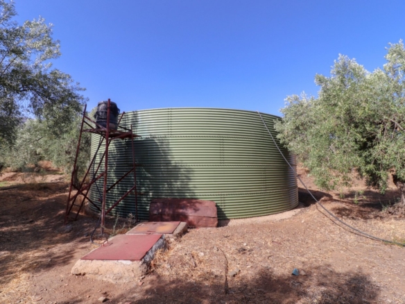 SE VENDE FINCA DE REGADIO EN PRODUCION CON CORTIJO EN ABRUCENA