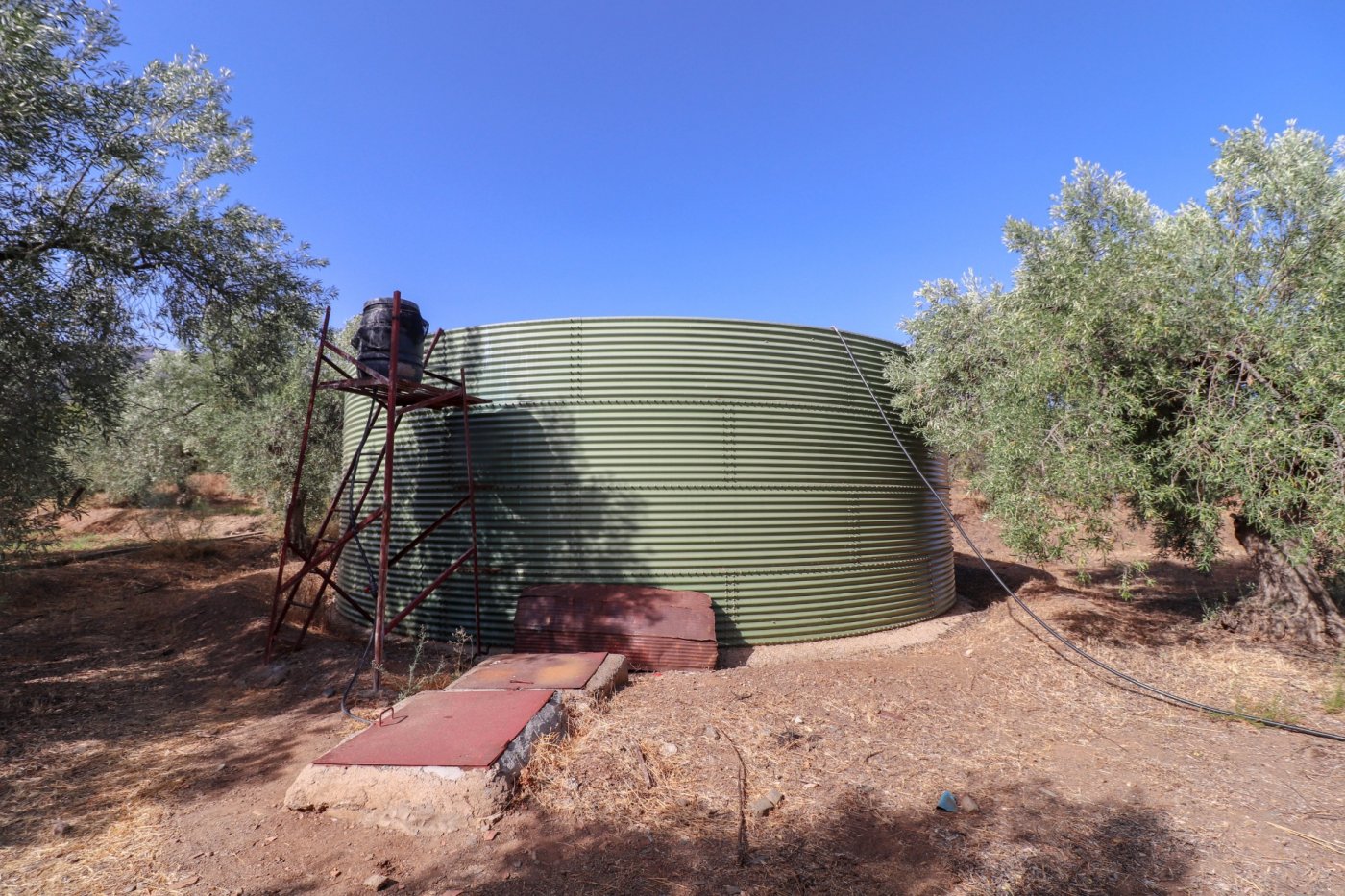 SE VENDE FINCA DE REGADIO EN PRODUCION CON CORTIJO EN ABRUCENA