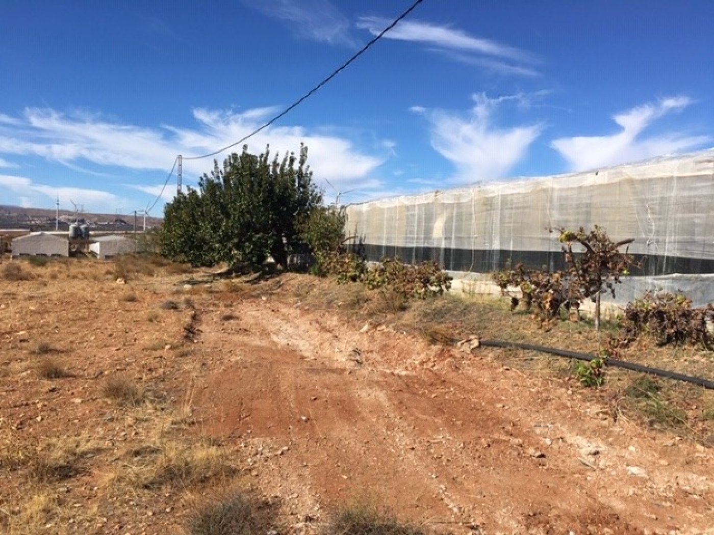 Terreno en Abrucena con invernadero