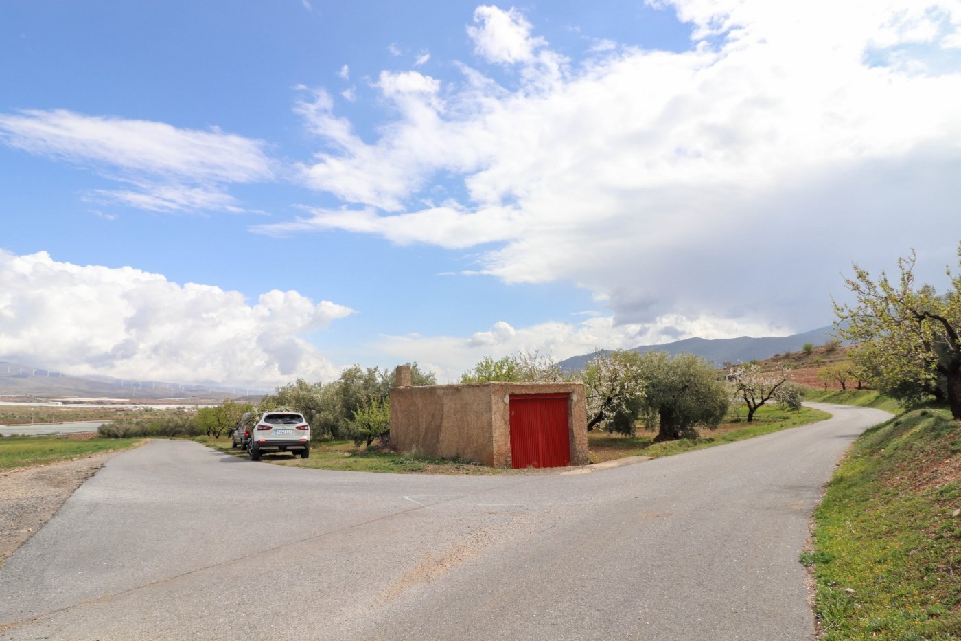 FINCA DE OLIVOS Y ALMENDROS EN FIÑANA