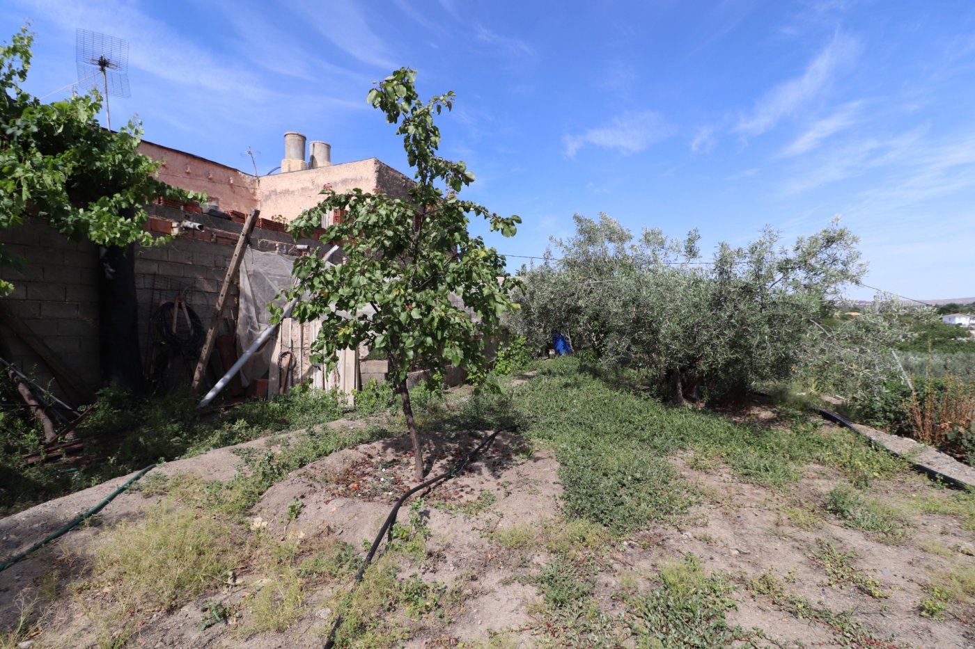 SE VENDE CASA CON PARCELA EN ZONA ABLA