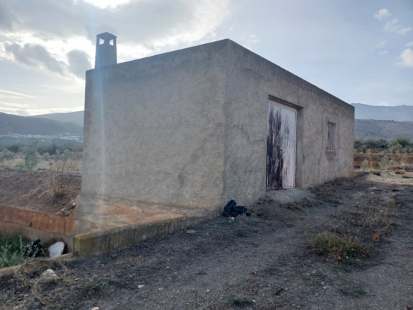 SE  VENDE FINCA RUSTICA CON OLIVOS EN ABRUCENA