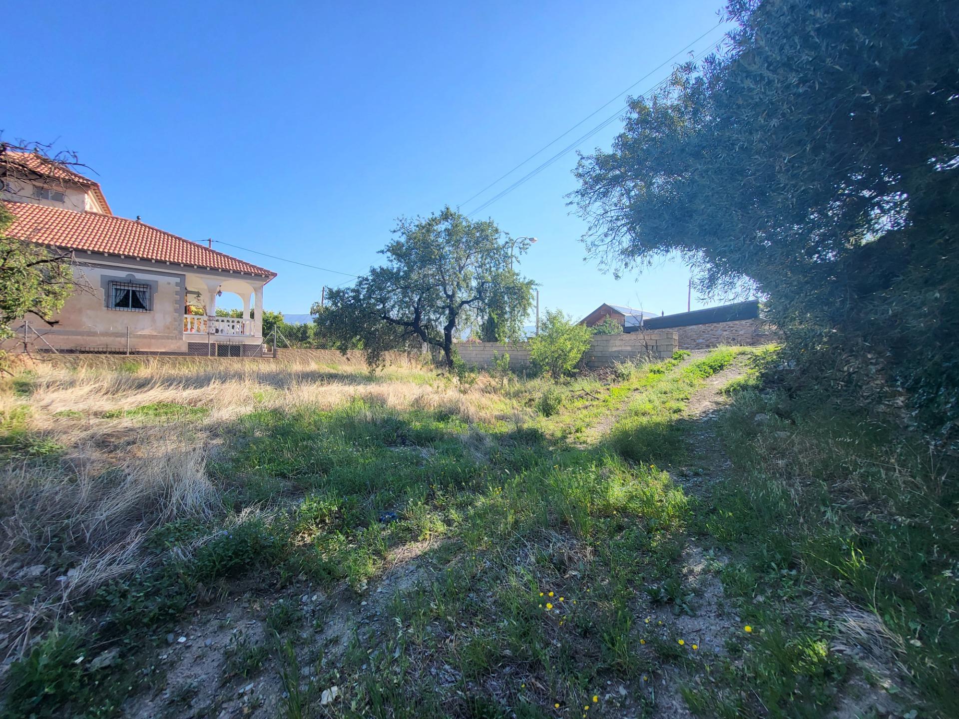 SE VENDE SOLAR EN LA ENTRADA DE ABRUCENA