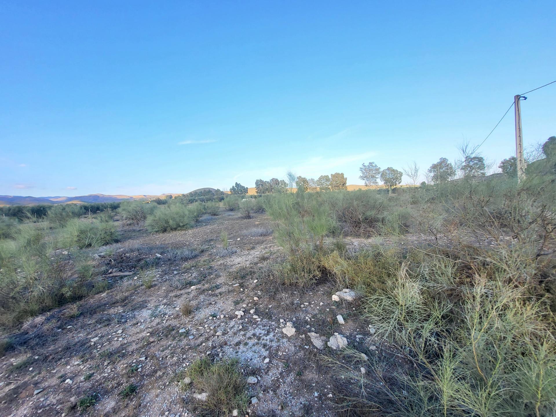 SE VENDE PARCELA  EN TABERNAS PARAJE PEDREGALES