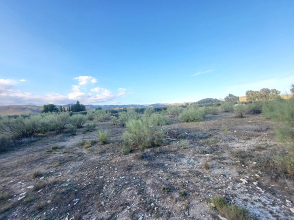 SE VENDE PARCELA  EN TABERNAS PARAJE PEDREGALES