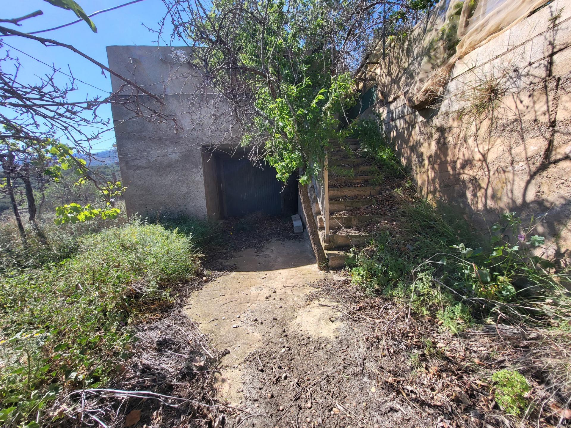 SE VENDE TERRENO CON ALMACEN Y OLIVOS EN ABRUCENA