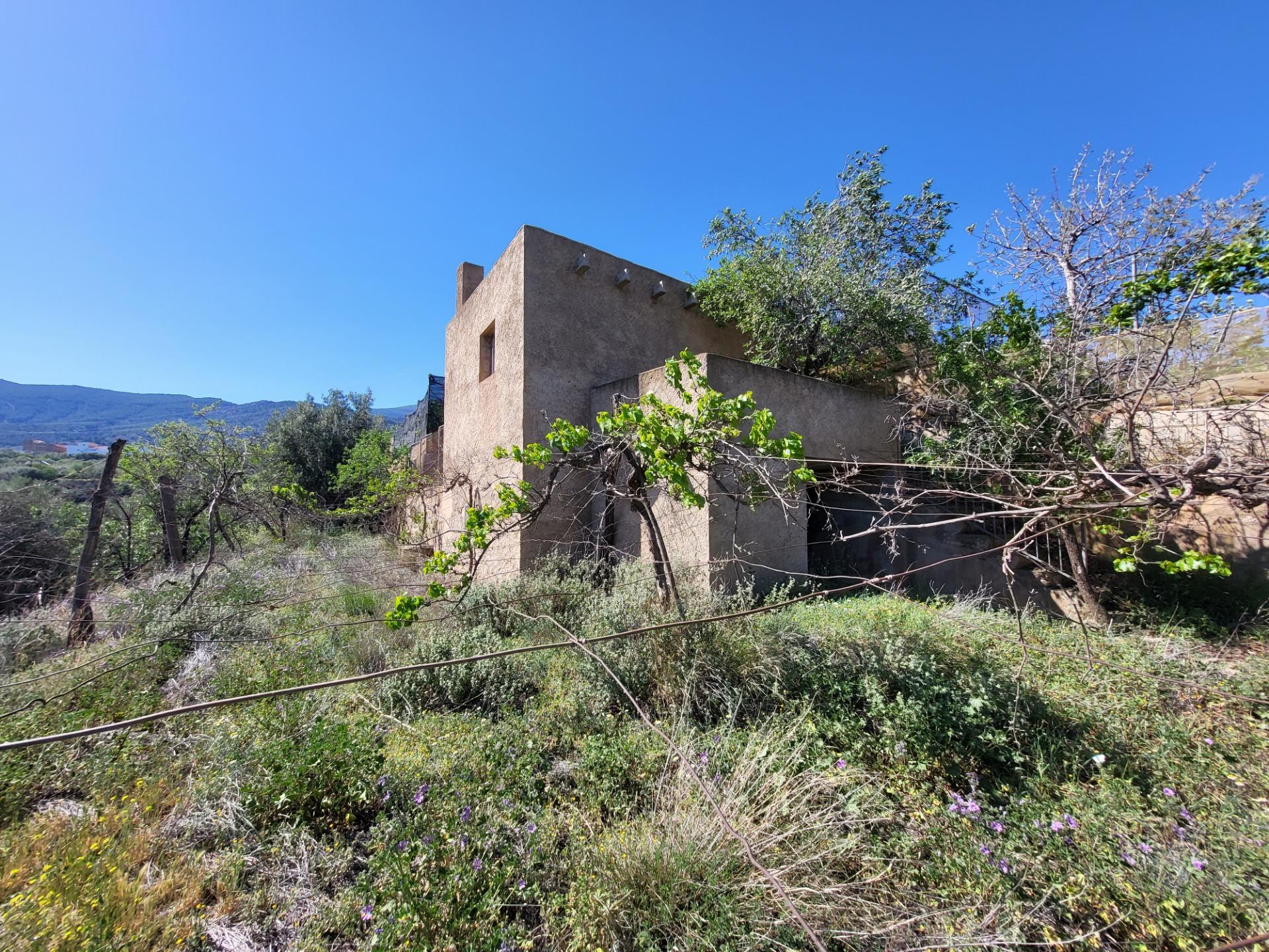 SE VENDE TERRENO CON ALMACEN Y OLIVOS EN ABRUCENA