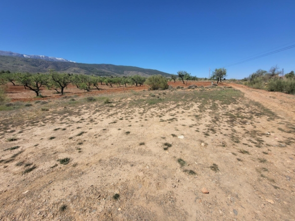 SE VENDE PARCELA  RUSTICA EN ABRUCENA  ZONA CAMPILLO