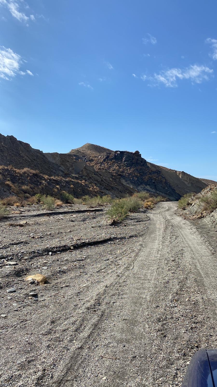 SE VENDE ACCIÓN EN COTO LAS LOMILLAS