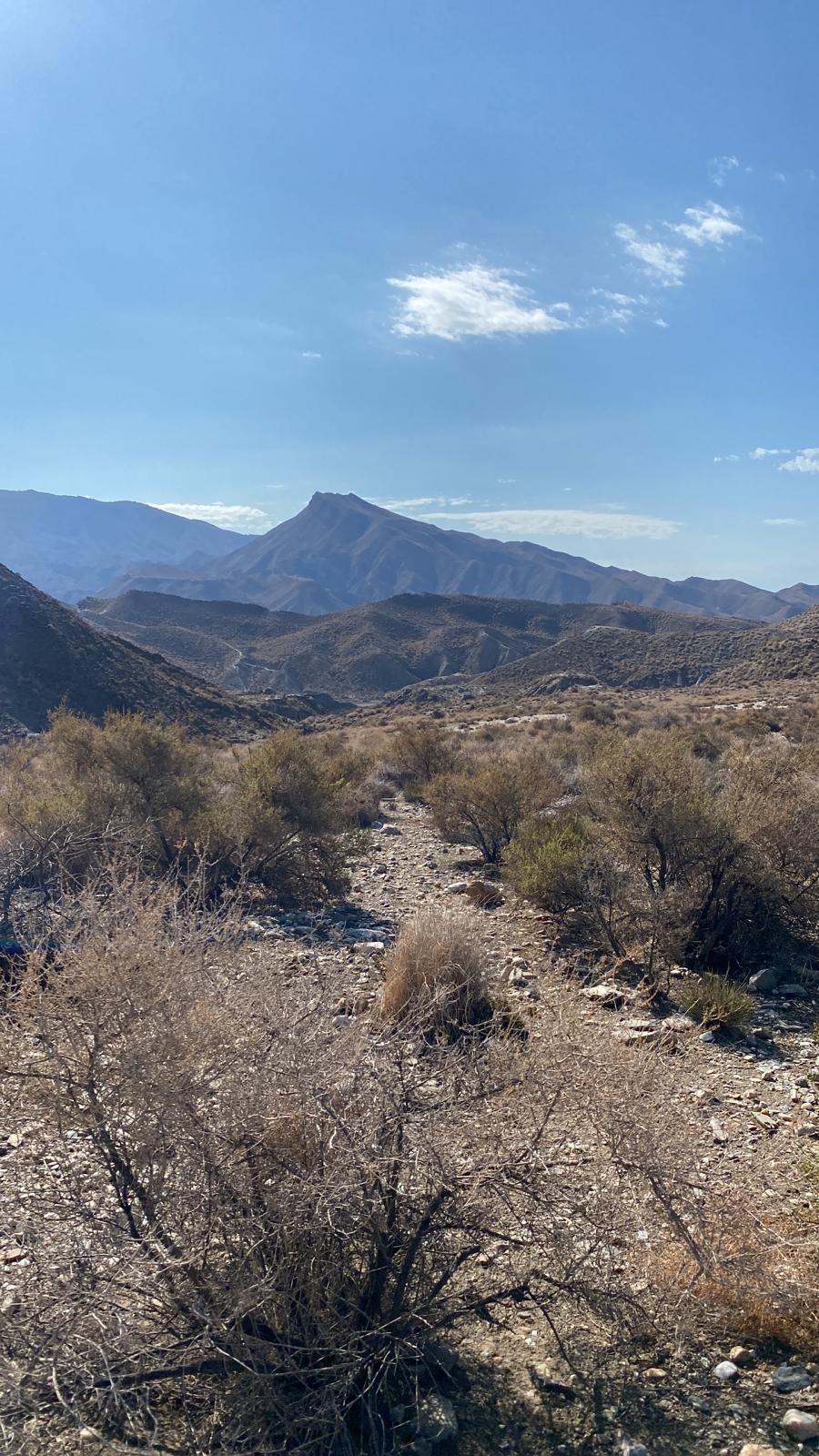 SE VENDE ACCIÓN EN COTO LAS LOMILLAS