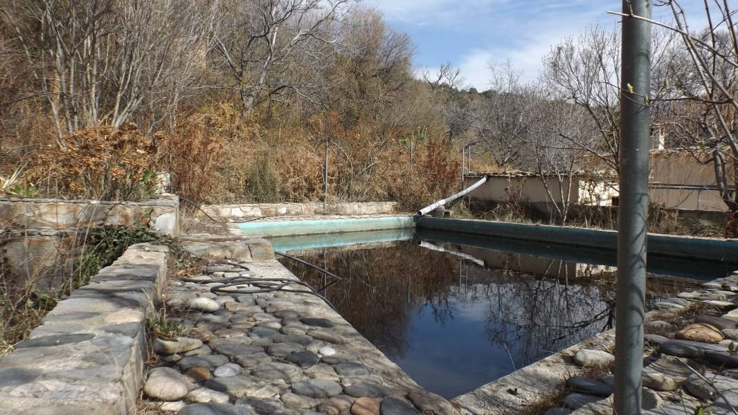 FINCA CON CORTIJO EN ZONA PATERNA DEL RIO