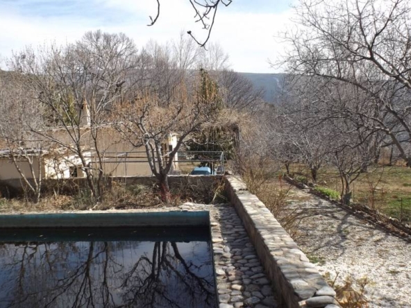 FINCA CON CORTIJO EN ZONA PATERNA DEL RIO