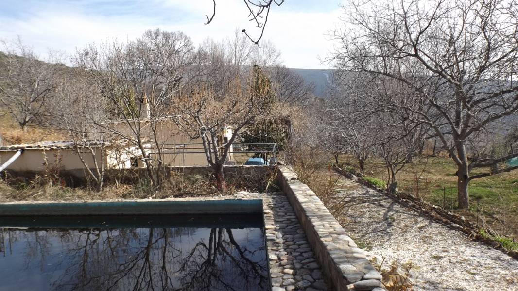 FINCA CON CORTIJO EN ZONA PATERNA DEL RIO