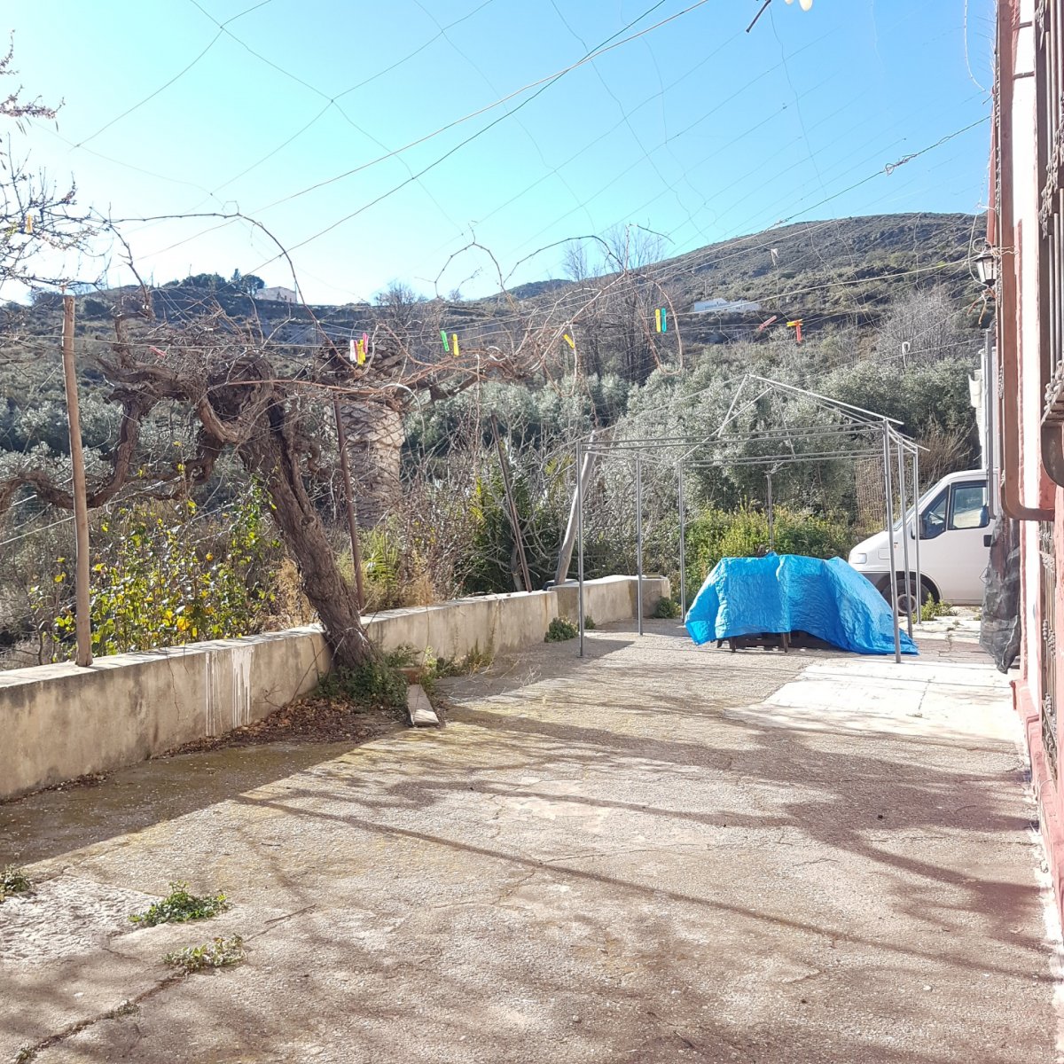 SE VENDE CASA CON PARCELA EN ALICUN