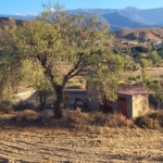 SE VENDE TERRENO EN LA HUERTEZUELA CON POZO PROPIO Y BALSA