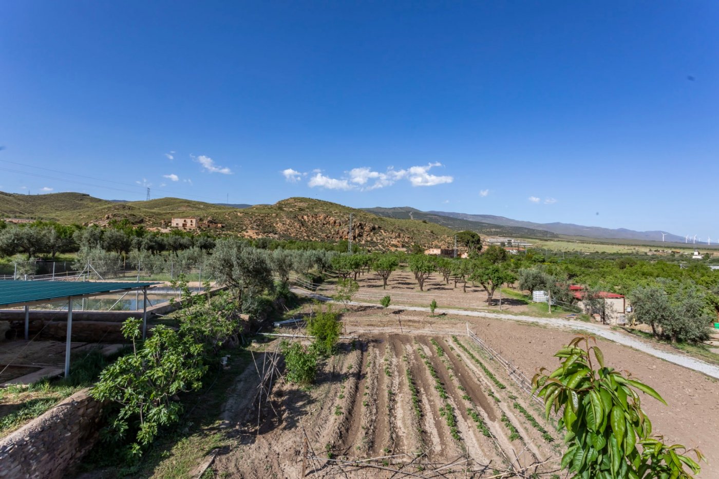 GRAN CORTIJO  CON HIPICA Y 2 CASAS