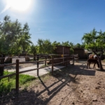 GRAN CORTIJO  CON HIPICA Y 2 CASAS