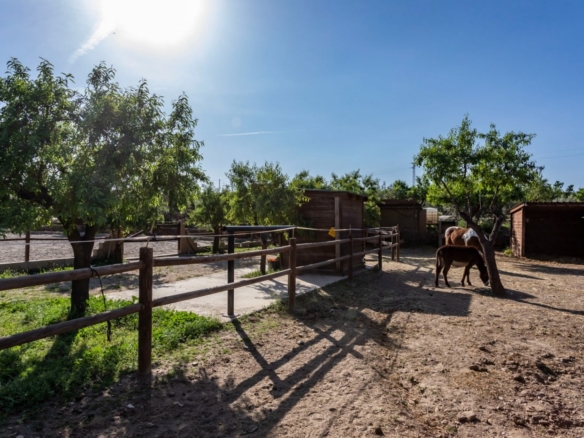 GRAN CORTIJO  CON HIPICA Y 2 CASAS