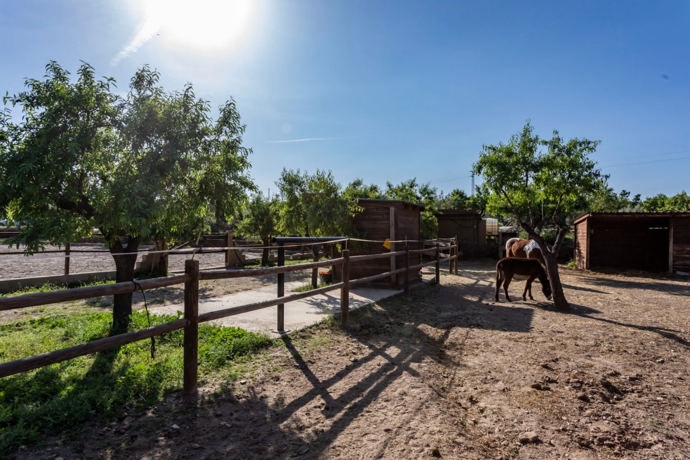 GRAN CORTIJO  CON HIPICA Y 2 CASAS