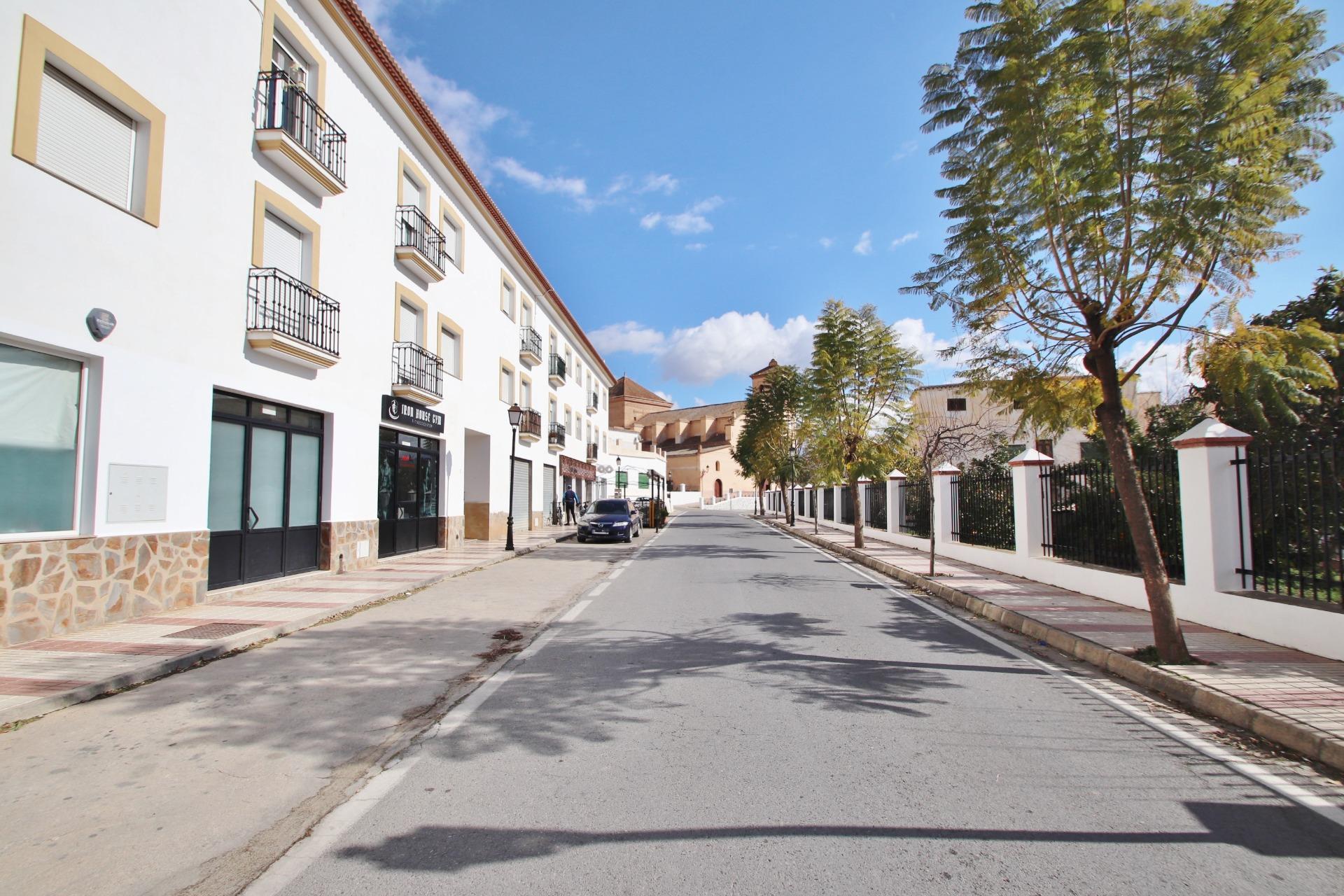 Venta de Piso en el corazón de la Alpujarra Granadina.