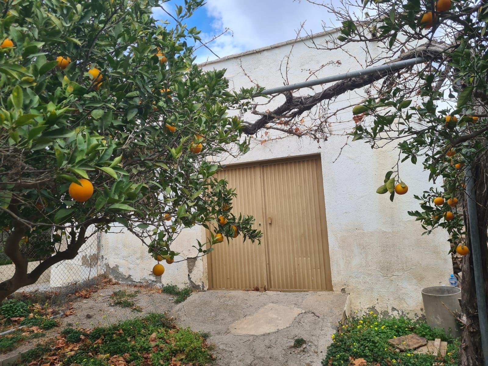 PARCELA DE REGADÍO EN BENAHADUX