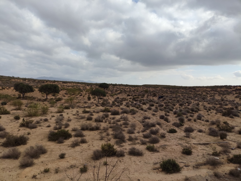 Suelo rústico en Venta en Venta Del Pobre Almería