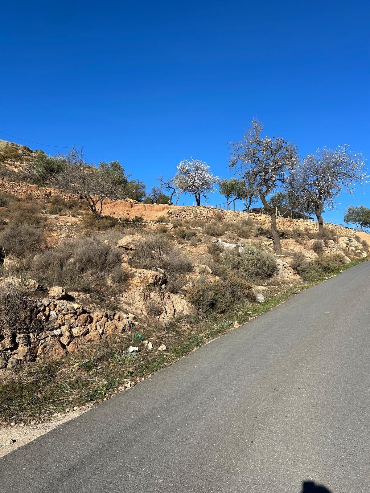 FINCA RÚSTICA EN FELIX (ALMERÍA)