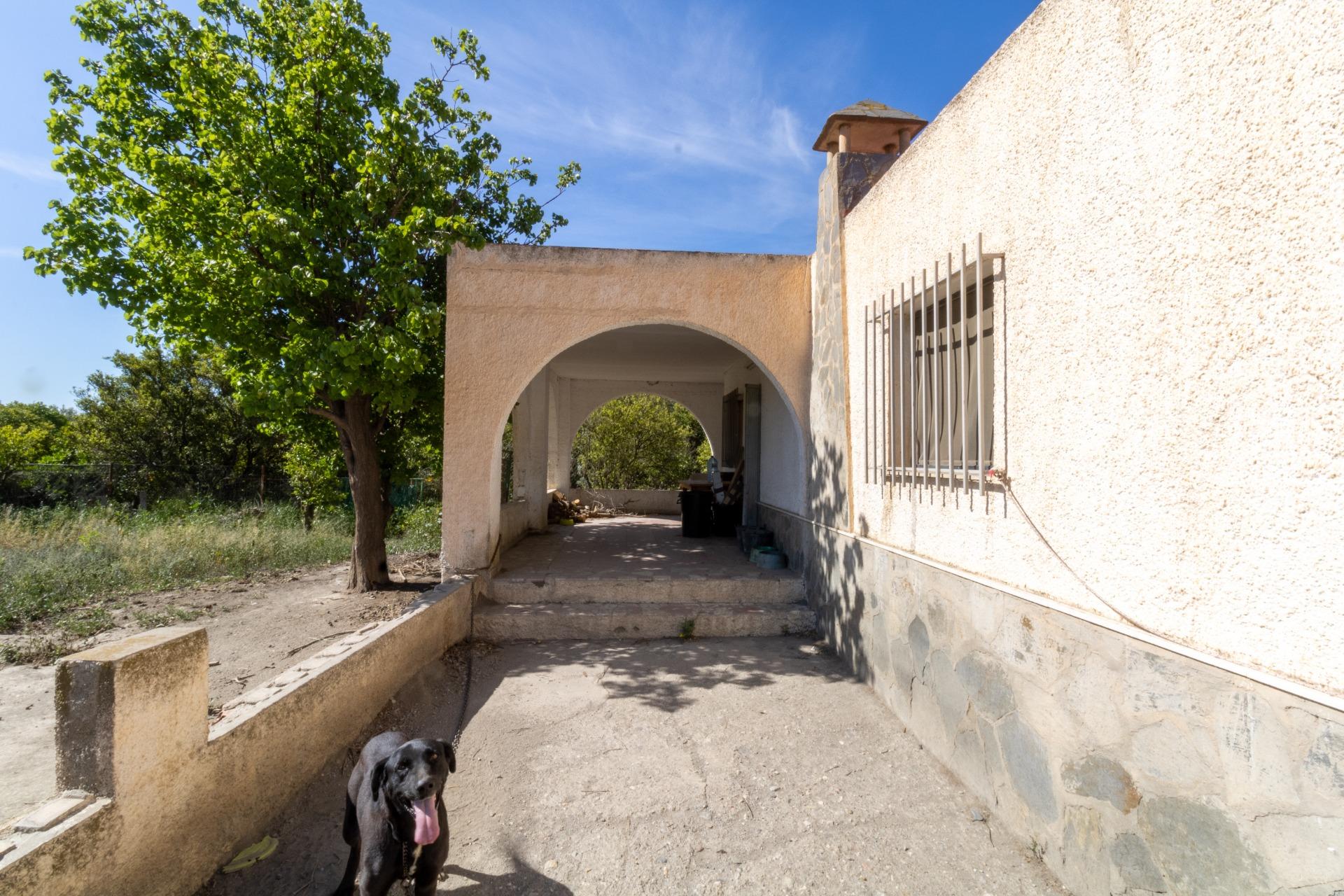 PARCELA CON ENCANTO PAULENCA