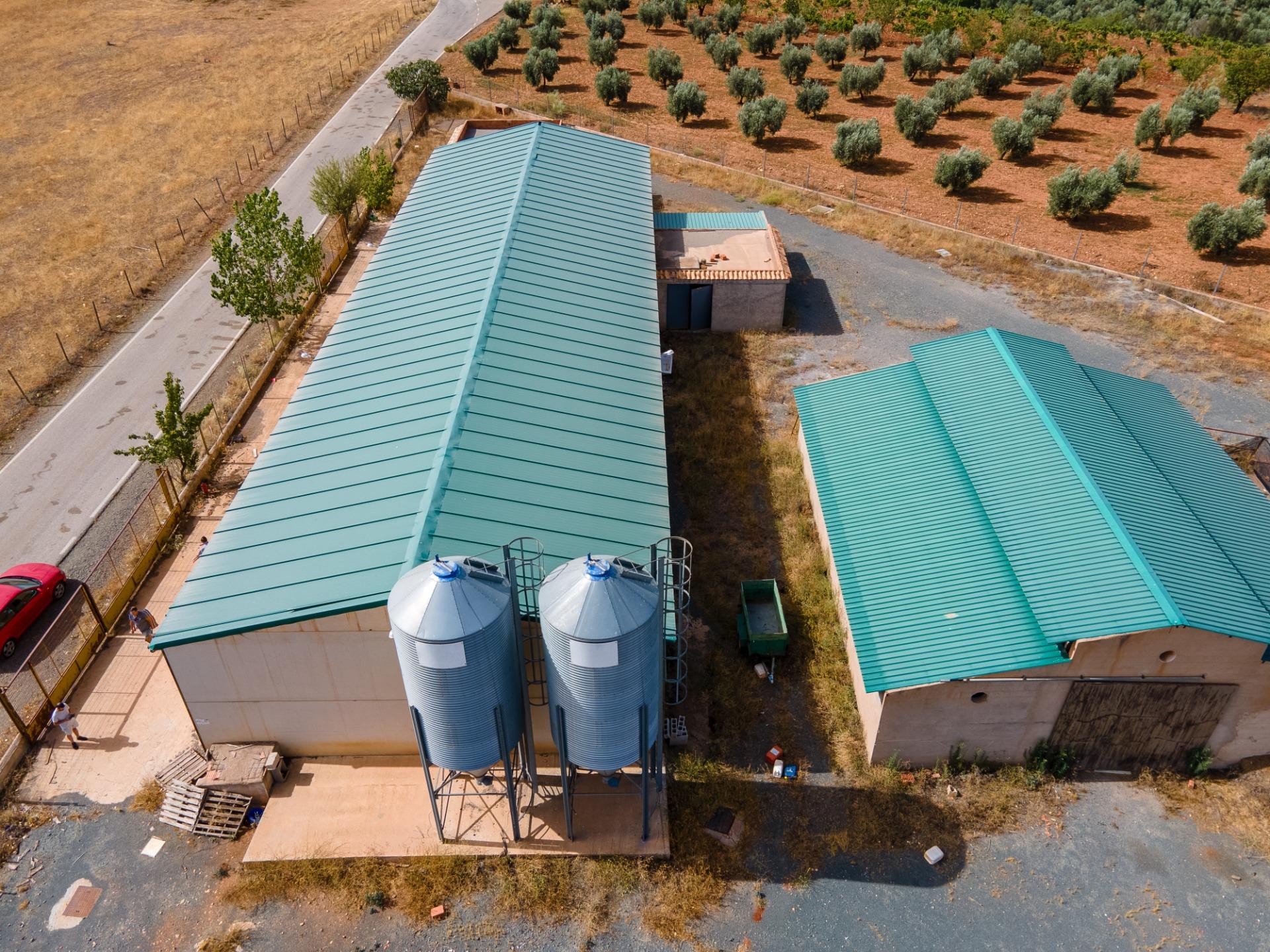 TERRENOS RUSTICOS DE REGADIO EN COGOLLOS DE GUADIX