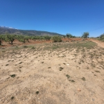 SE VENDE PARCELA  RUSTICA EN ABRUCENA  ZONA CAMPILLO