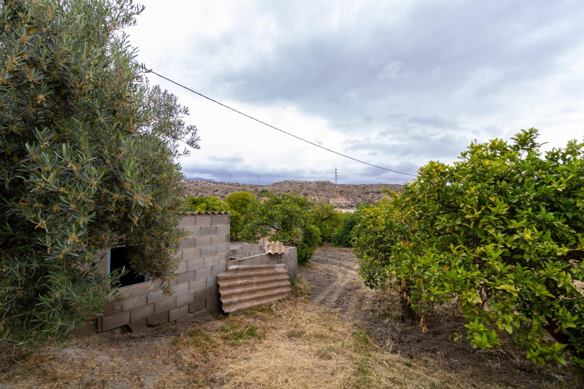 Almería!