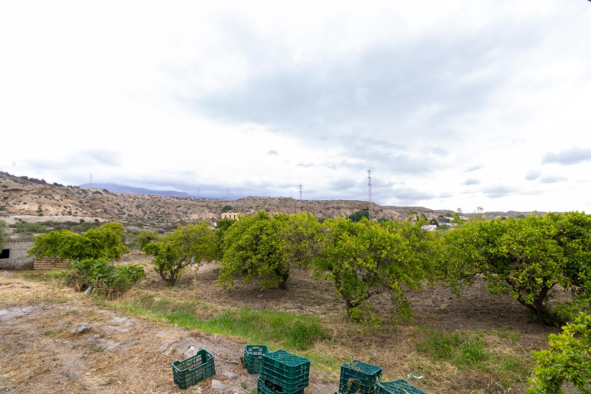 ¡Oportunidad única en Rioja
