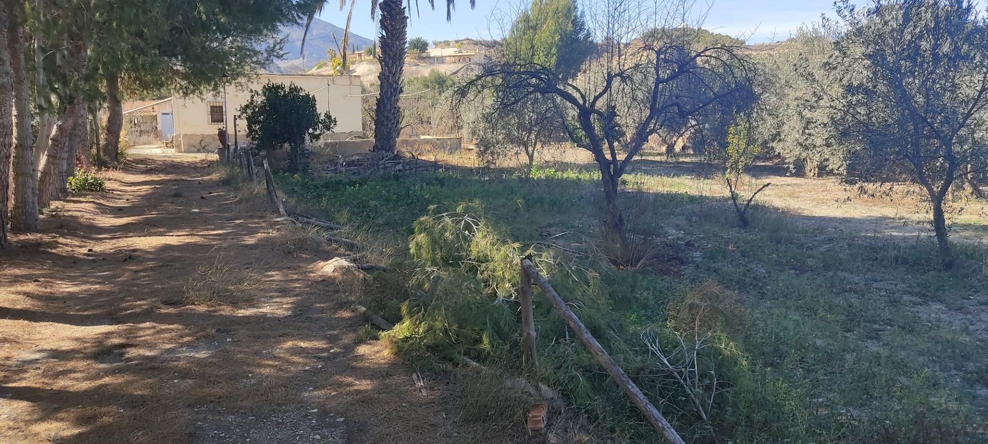 Se vende Casa con Terreno en Alhabía