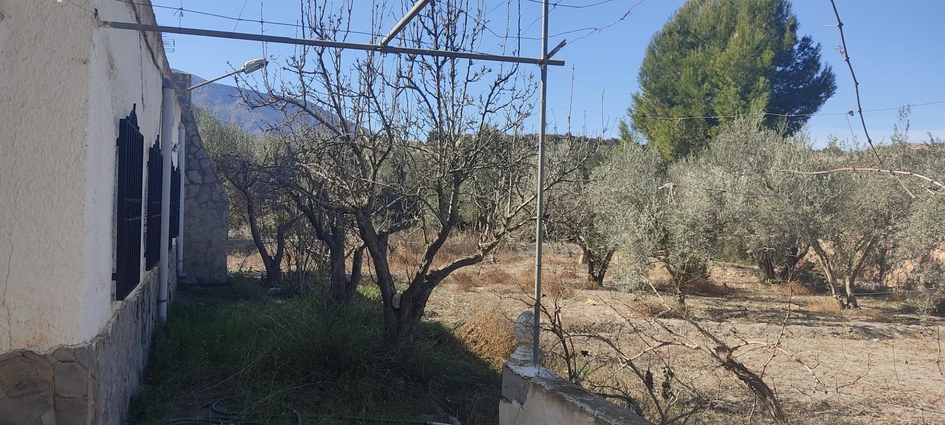 Se vende Casa con Terreno en Alhabía