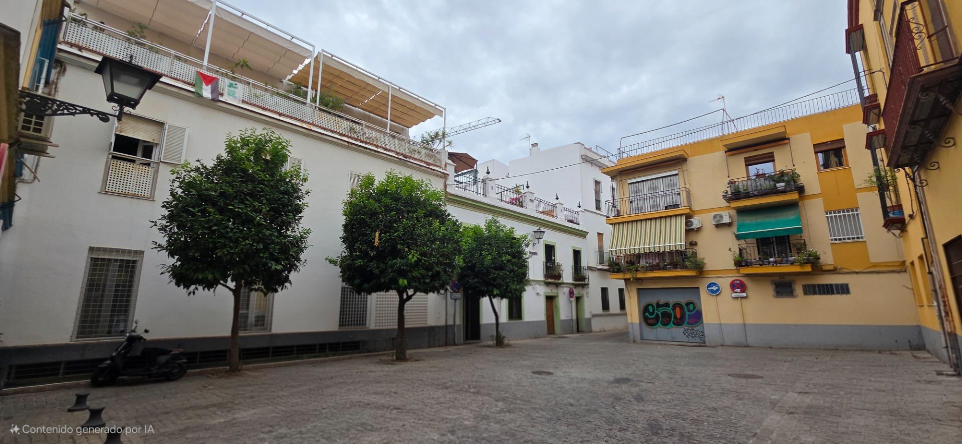 Piso reformado en pleno centro de Sevilla – Calle Hiniesta