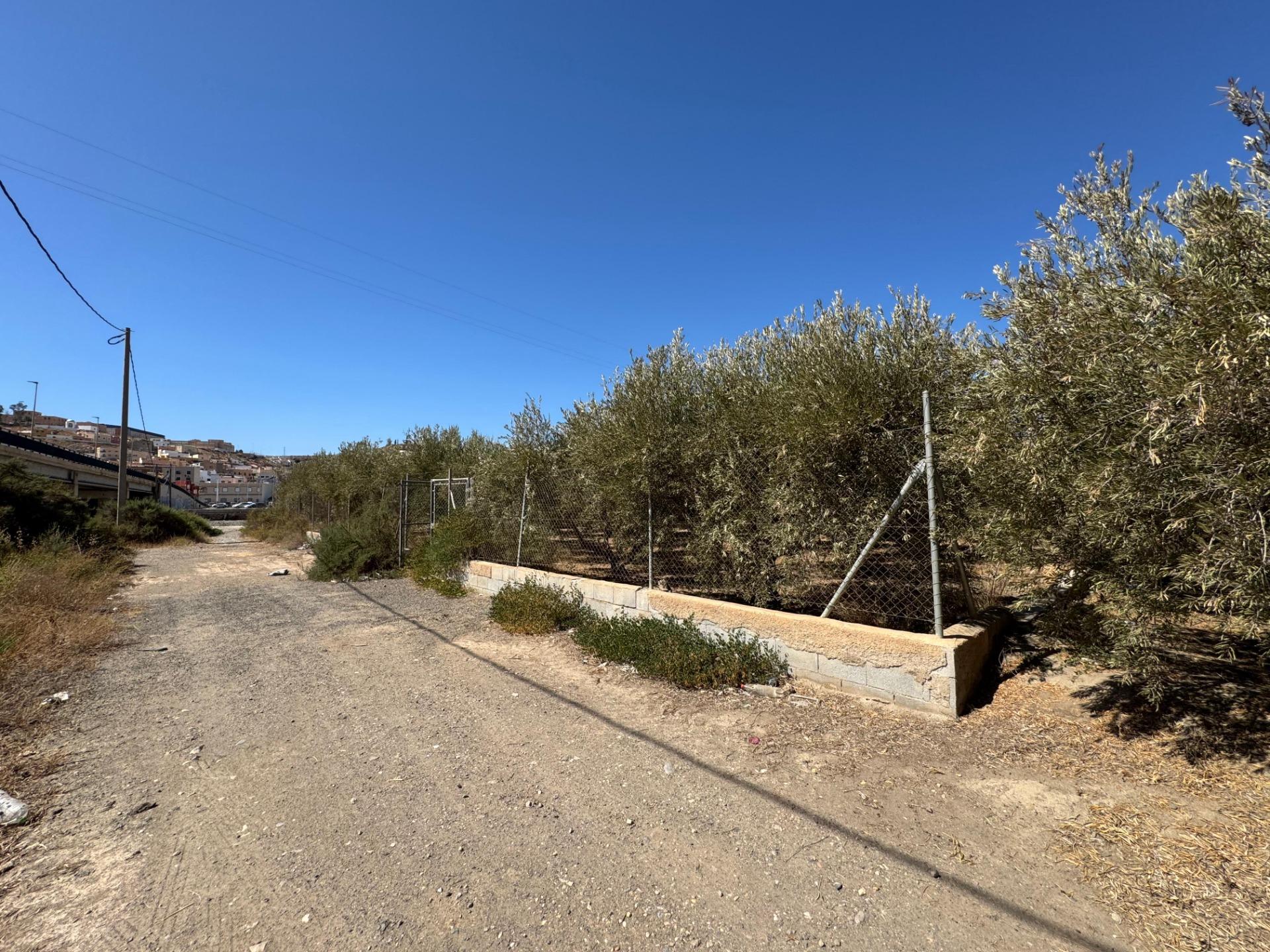 TERRENO RUSTICO EN GÁDOR