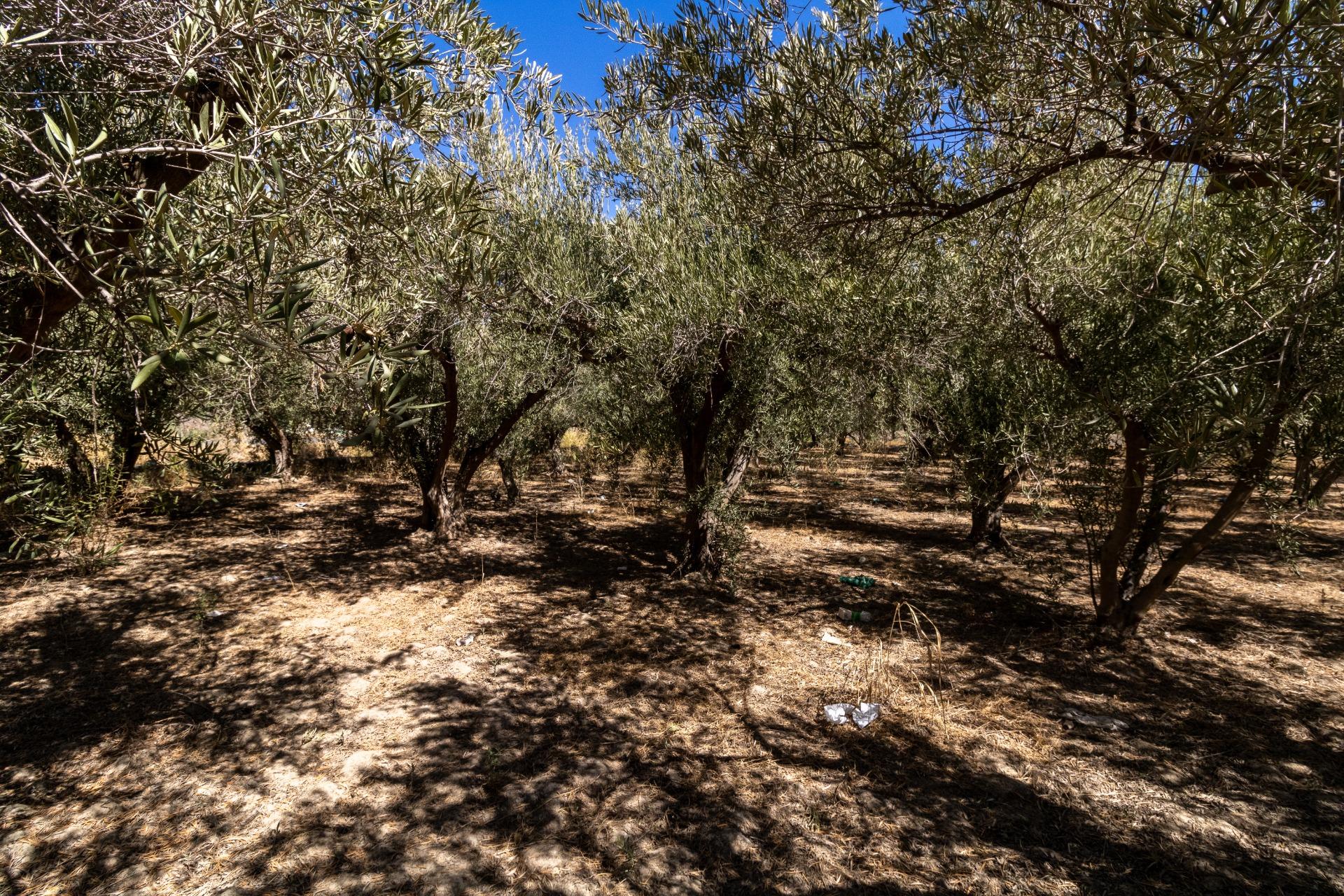 TERRENO RUSTICO EN GÁDOR