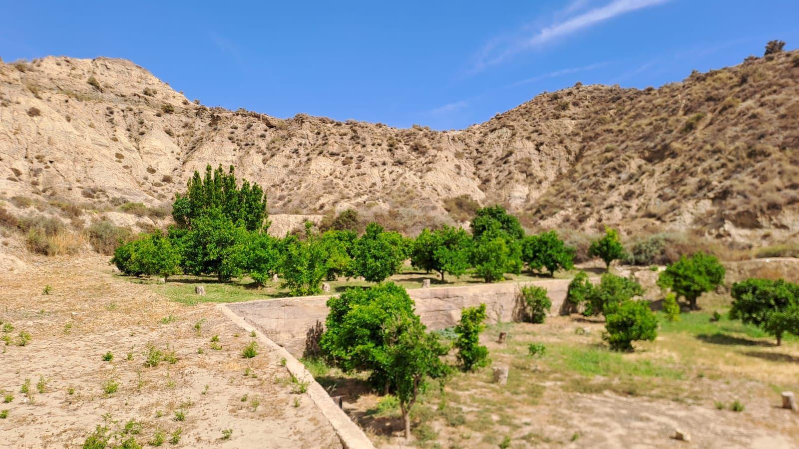 Se vende Terreno  en Gador