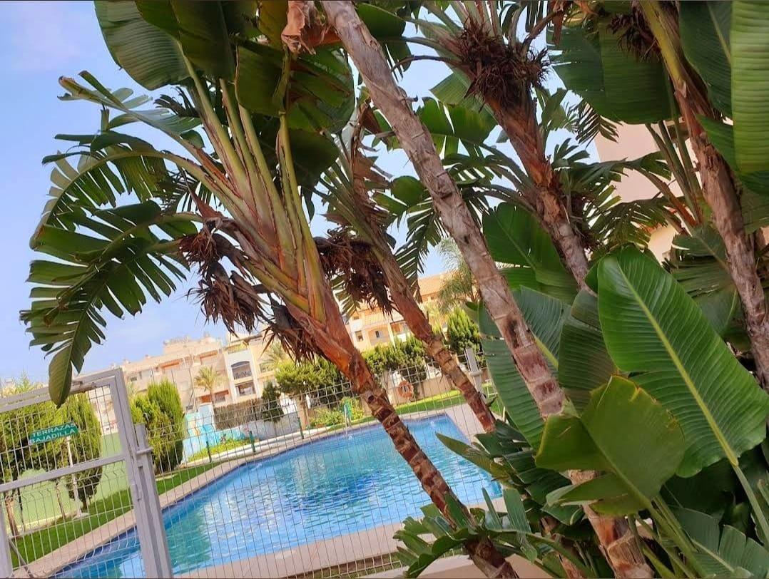 Piso Bajo Reformado a 300 m de la Playa – Terraza Privada y Garaje