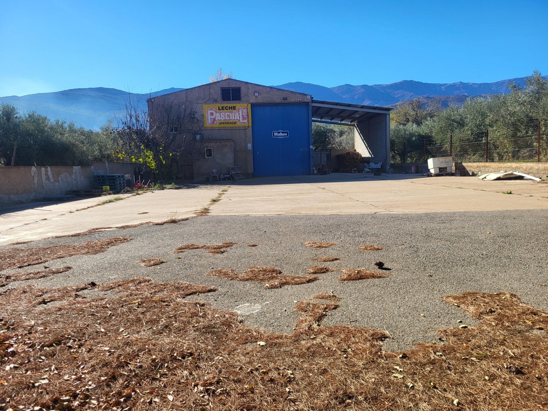 SE ALQUILA NAVE INDUSTRIAL EN ABRUCENA ZONA AUTOVÍA