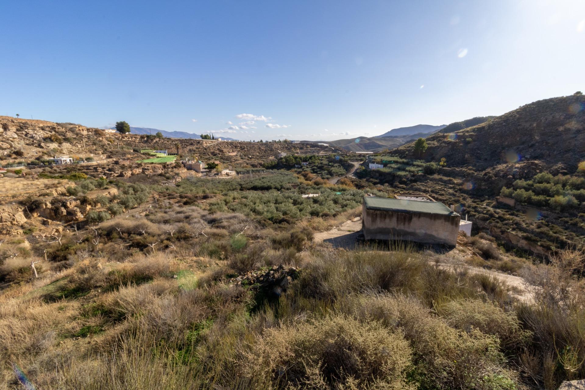 TERRENO RÚSTICO EN ALHAMA DE ALMERÍA