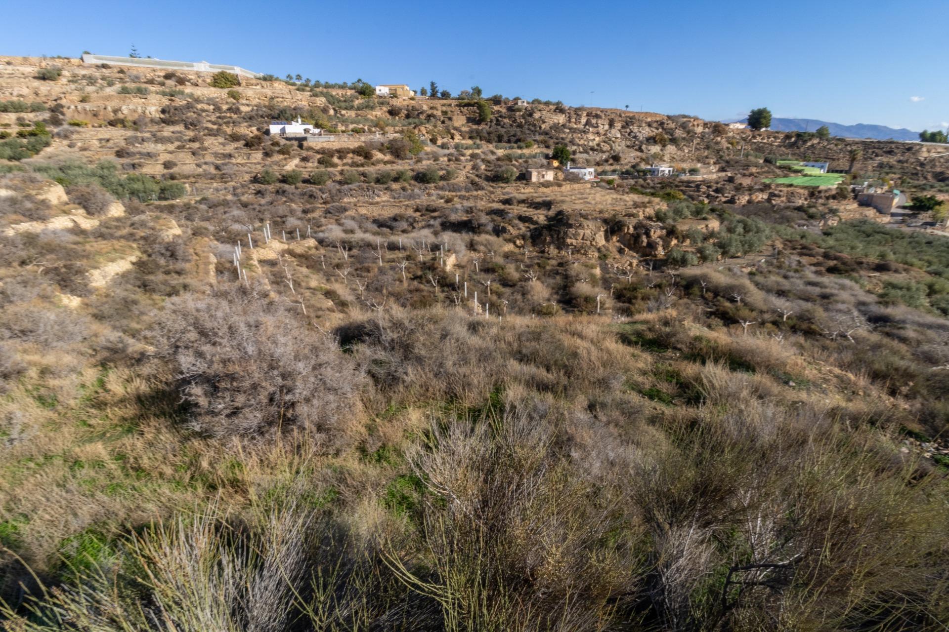 TERRENO RÚSTICO EN ALHAMA DE ALMERÍA